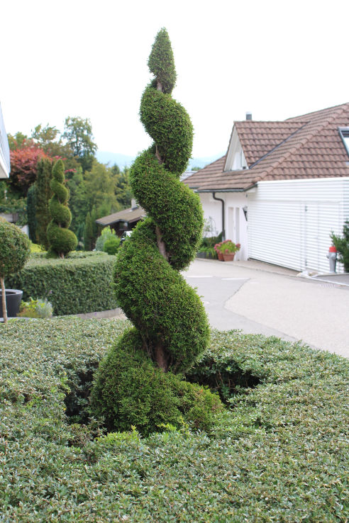 Pflege des Gartens